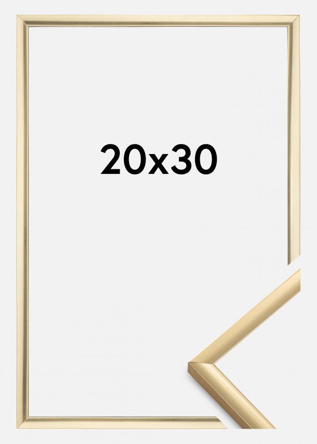 Walther Frame New Lifestyle Acrylic glass Gold 20x30 cm