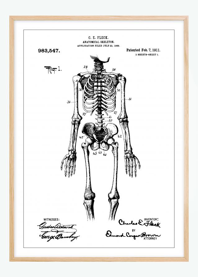 Bildverkstad Patent drawing - Anatomical Skeleton I Poster