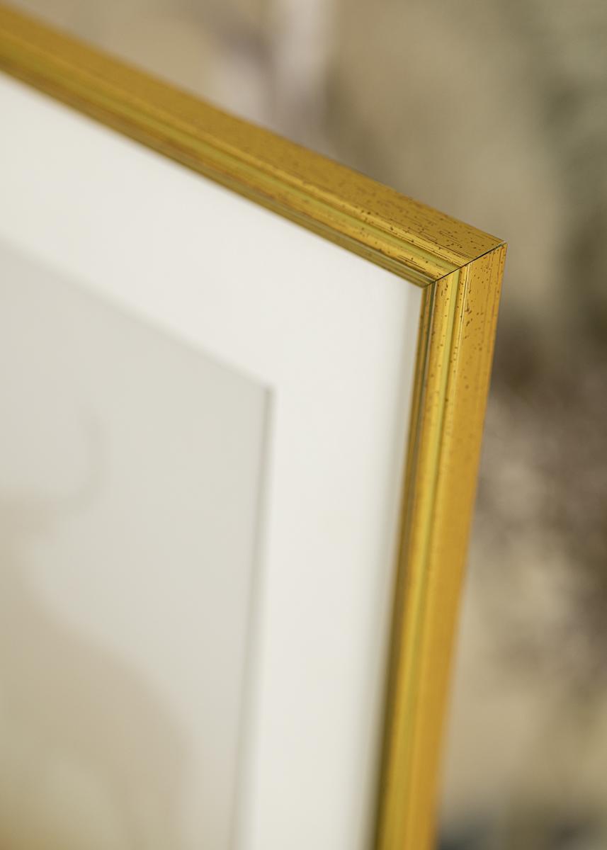 Buy Frame Gallant Gold 12x12 cm here 