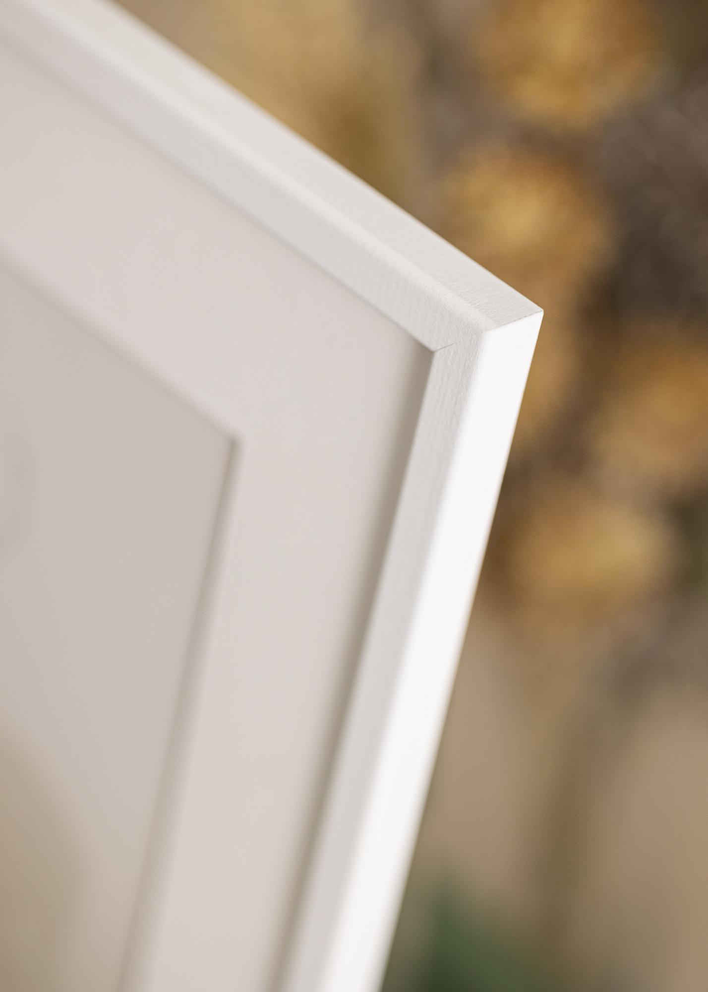 Buy Frame Kaspar Acrylic Glass White 32x45 cm here - BGAFRAMES.EU