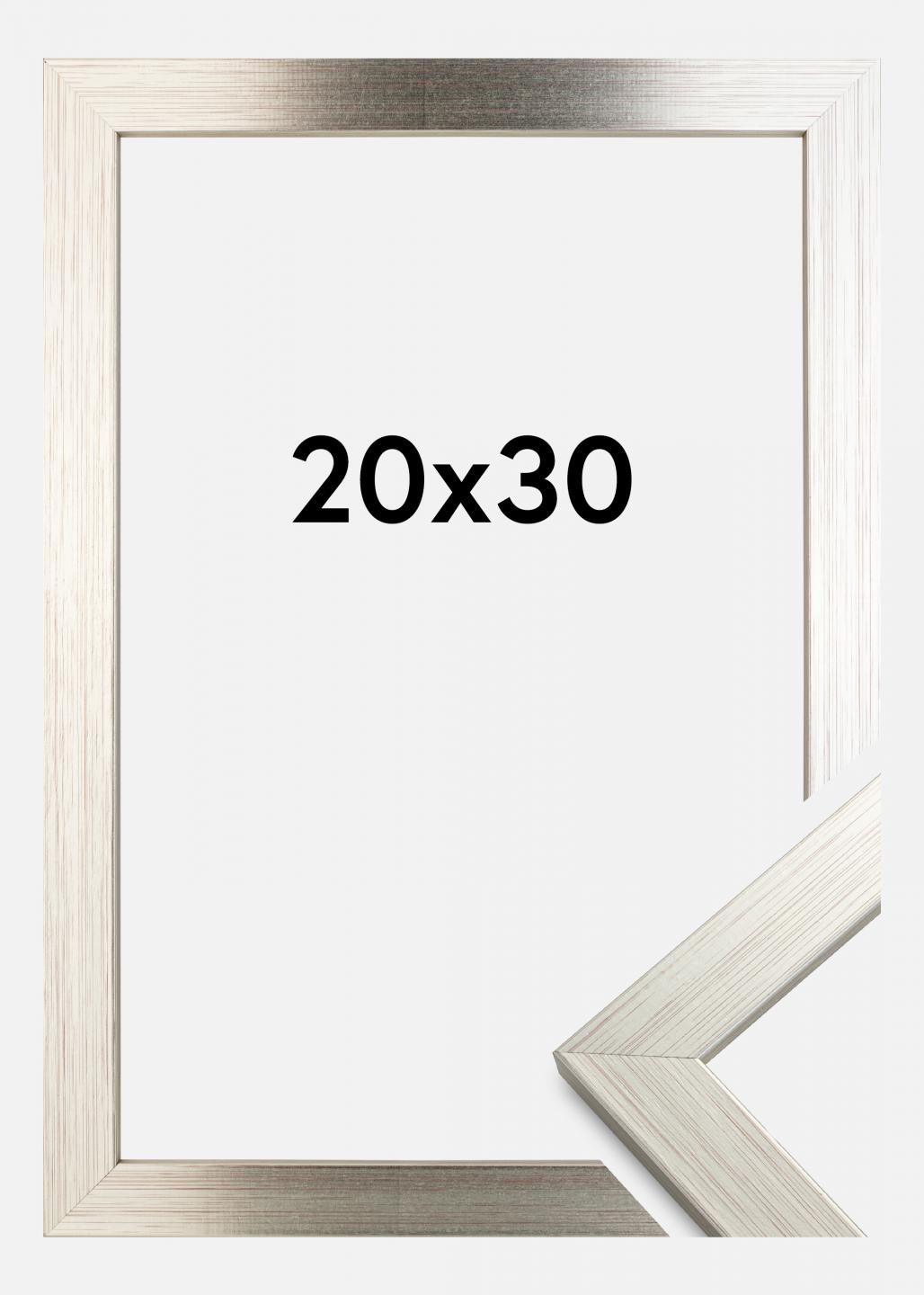 20 x 30 poster frame
