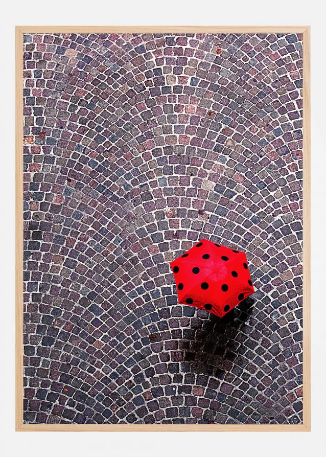 Bildverkstad Urban Ladybug Poster