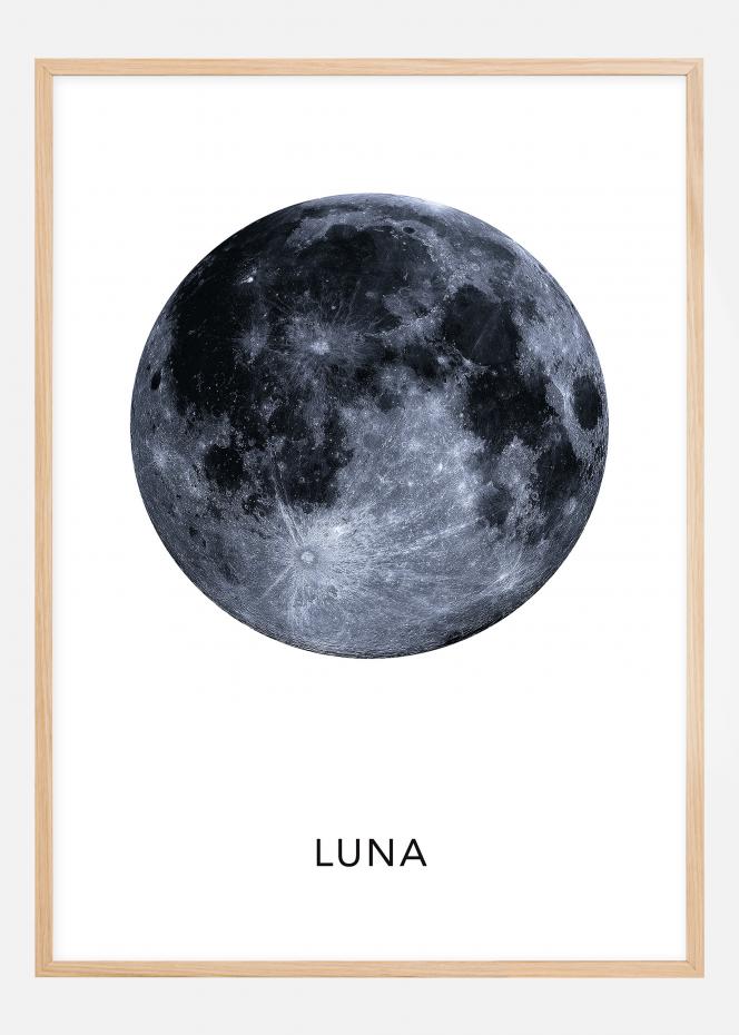 Buy Luna Poster here 