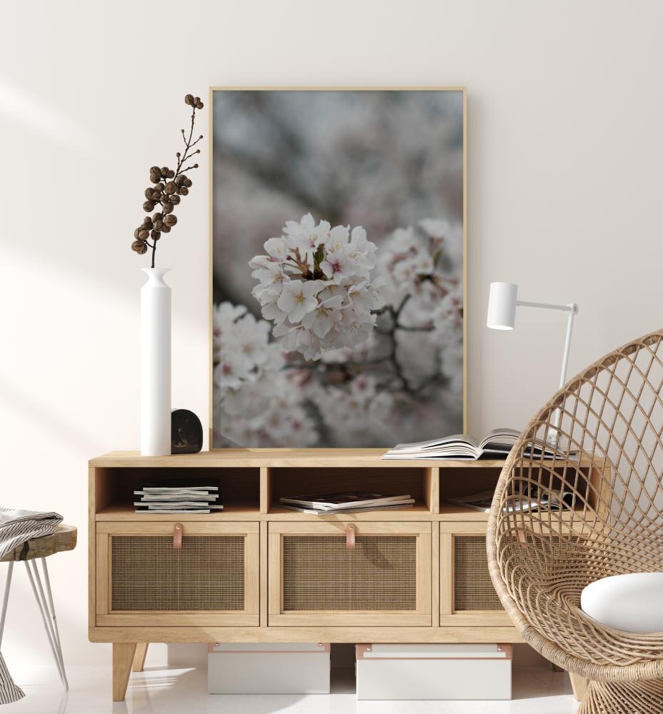 Bildverkstad Cherryblossom Poster