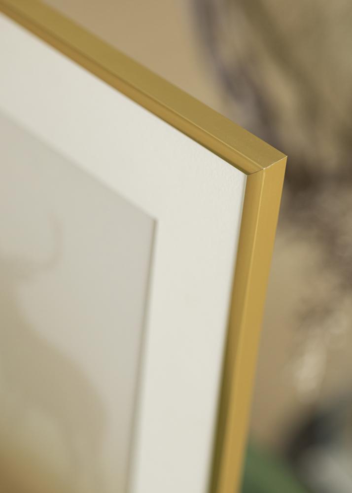 Walther Frame New Lifestyle Acrylic glass Gold 15x21 cm (A5)