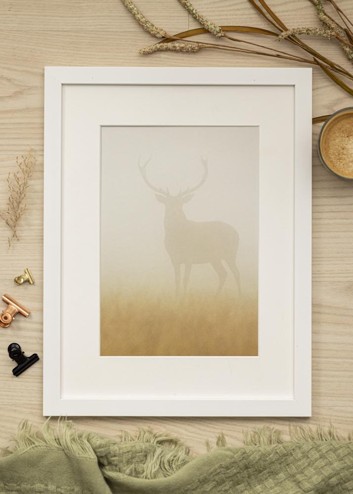 Galleri 1 Frame White Wood 61x91,5 cm