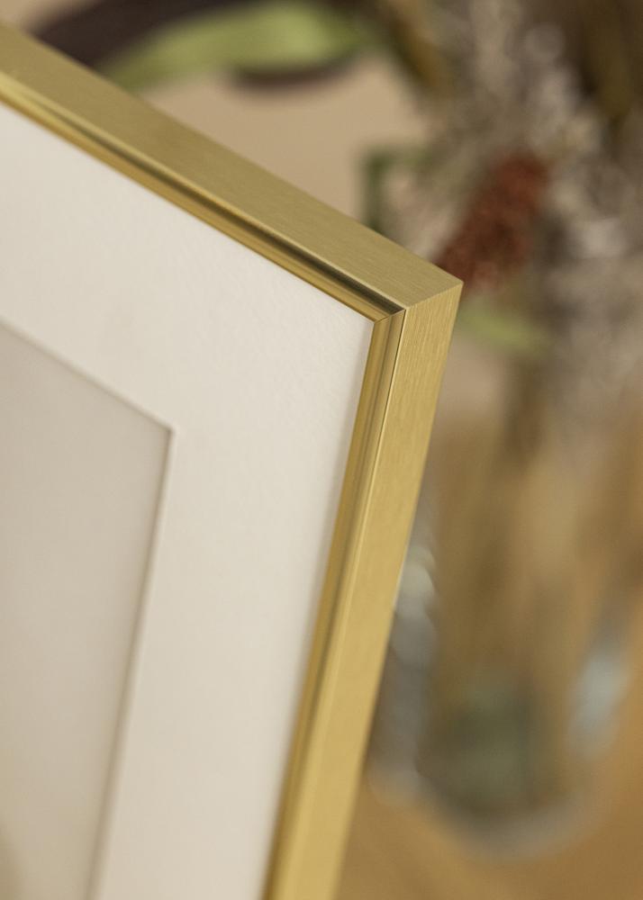 Estancia Frame Visby Acrylic glass Glossy Gold 61x91.5 cm