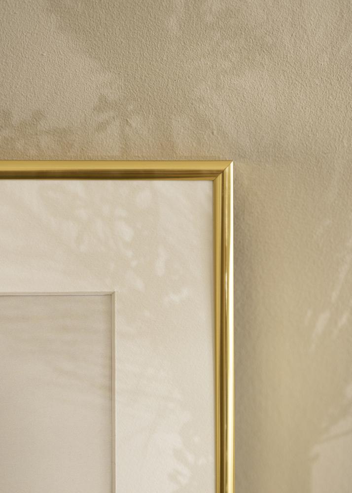 Estancia Frame Visby Acrylic glass Glossy Gold 61x91.5 cm