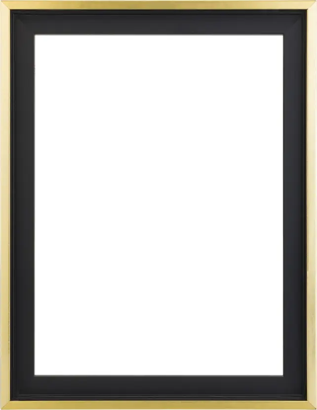 Mavanti Canvas picture frame Tacoma Black / Gold 60x70 cm