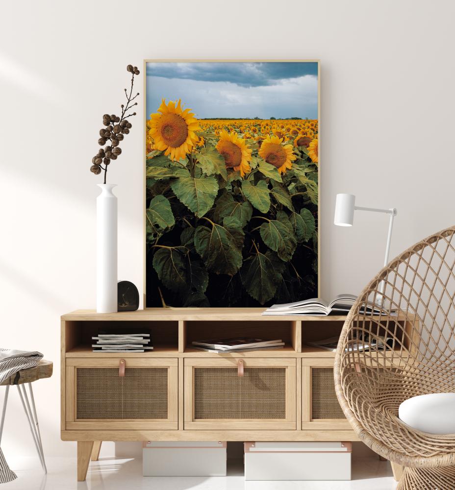 Bildverkstad Sunflowers Poster