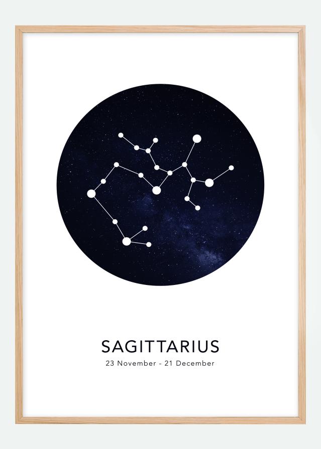 Bildverkstad Sagittarius Poster