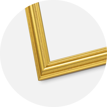 Artlink Frame Frigg Gold 10x15 cm