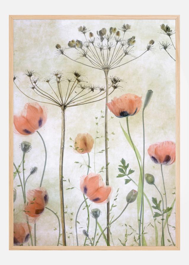 Bildverkstad Poppy Meadow Poster