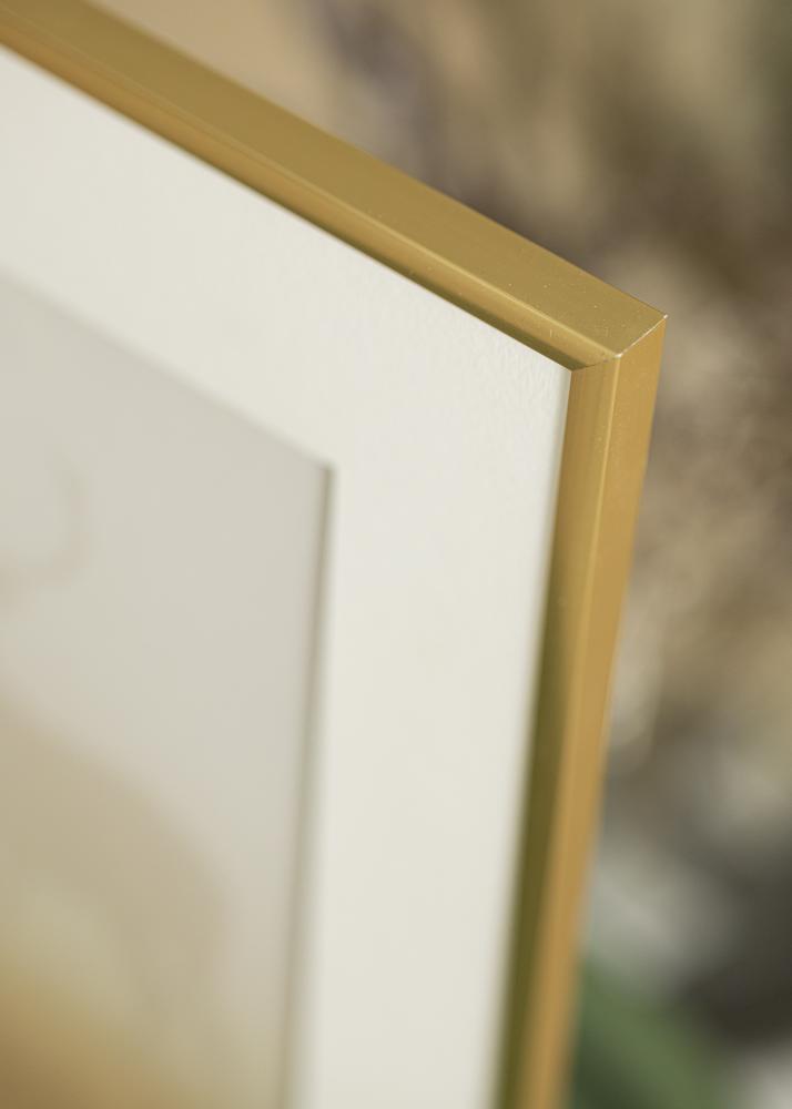 Walther Frame New Lifestyle Acrylic glass Shiny Gold 60x80 cm